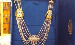 भक्त ने हरमिंदर साहिब में किया 1300 हीरों से जड़ा हुआ 5 फीट का हार भेंट भक्त ने हरमिंदर साहिब में किया 1300 हीरों से जड़ा हुआ 5 फीट का हार भेंट