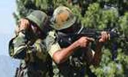 BSF ने अर्निया सेक्टर में पाकिस्तानी घुसपैठिए को मार गिराया BSF ने अर्निया सेक्टर में पाकिस्तानी घुसपैठिए को मार गिराया