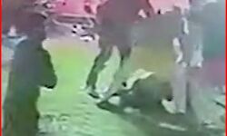 BJP के पूर्व जिला मंत्री की बर्थडे पार्टी-शराब को लेकर चले लात व जूते