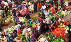 बोले सीएम- नहीं लगेगा संपूर्ण लॉकडाउन लगाये मास्क रखे सोशल डिस्टेंसिंग बोले सीएम- नहीं लगेगा संपूर्ण लॉकडाउन लगाये मास्क रखे सोशल डिस्टेंसिंग