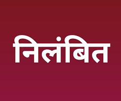 पटवारियों को लापरवाही पड़ी महंगी- DM ने कर दिये निलम्बित
