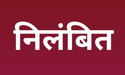 पटवारियों को लापरवाही पड़ी महंगी- DM ने कर दिये निलम्बित