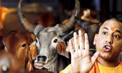 सीएम के दावों का लगाया जा रहा पलीता सीएम के दावों का लगाया जा रहा पलीता