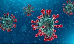 शिक्षा मंत्री सहित भाजपा के दो बड़े नेता कोरोना पाॅजिटिव शिक्षा मंत्री सहित भाजपा के दो बड़े नेता कोरोना पाॅजिटिव