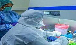 कोरोना वायरस के नये मामले कई लोगो की मौत