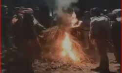 इधर बीजेपी ने बनाया उम्मीदवार उधर विरोध शुरू-फूंका पुतला