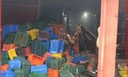 पटाखा फैक्ट्री में लगी आग में दो जिंदा जले-इतने की हालत गंभीर पटाखा फैक्ट्री में लगी आग में दो जिंदा जले-इतने की हालत गंभीर