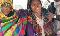 फसल की रखवाली कर रहे युवक पर सांड का हमला-हो गई मौत