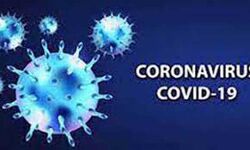 3 सप्ताह के बच्चे की कोरोना संक्रमण से मौत 3 सप्ताह के बच्चे की कोरोना संक्रमण से मौत