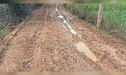 सड़को में गड्ढें नहीं बल्कि  गड्ढों में सड़के आई नजर