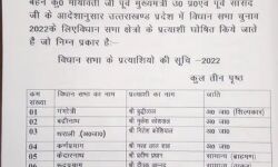 बहुजन समाज पार्टी ने जारी की 37 उम्मीदवारों की दूसरी सूची बहुजन समाज पार्टी ने जारी की 37 उम्मीदवारों की दूसरी सूची