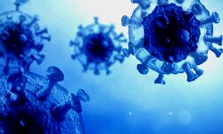 HRTC के चालीस बस परिचालक कोरोना पॉजिटिव HRTC के चालीस बस परिचालक कोरोना पॉजिटिव