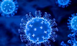 कोरोना का कोहराम जारी-फिर से मिली संक्रमितों की संख्या भारी कोरोना का कोहराम जारी-फिर से मिली संक्रमितों की संख्या भारी