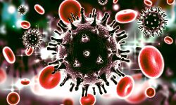 कोरोना के तेवर हुए ढीले-आज मिले इतने संक्रमित कोरोना के तेवर हुए ढीले-आज मिले इतने संक्रमित