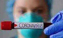 पिछले 24 घंटों में कोरोना वायरस हजारो नये मामले आये सामने