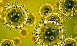 कोरोना की रोकथाम के लिये UP में घर-घर दस्तक अभियान शुरू कोरोना की रोकथाम के लिये UP में घर-घर दस्तक अभियान शुरू