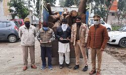 लकडी तस्करों को पुलिस ने किया अरेस्ट- माल बरामद