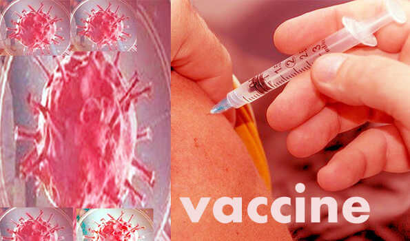 29 और 30 जनवरी को 300 से अधिक स्थानों पर लगेंगे टीकाकरण शिविर