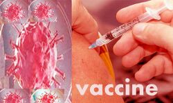 29 और 30 जनवरी को 300 से अधिक स्थानों पर लगेंगे टीकाकरण शिविर 29 और 30 जनवरी को 300 से अधिक स्थानों पर लगेंगे टीकाकरण शिविर