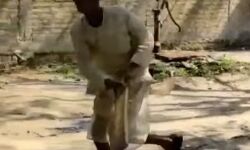 बुजुर्ग की बेटिंग को देखकर लोगों ने बजाई तालियां- देखें वीडियो