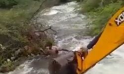 कुत्ते की जान बचाने के लिये दांव पर लगा दी अपनी जिंदगी- देखें वीडियो कुत्ते की जान बचाने के लिये दांव पर लगा दी अपनी जिंदगी- देखें वीडियो