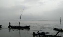 नदी में नाव पलटने से बहे दो लोगों की तलाश जारी नदी में नाव पलटने से बहे दो लोगों की तलाश जारी