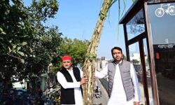 बोले अखिलेश घबराई हुई है BJP- नहीं मिलेगा यहां कोई सरप्राइज बोले अखिलेश घबराई हुई है BJP- नहीं मिलेगा यहां कोई सरप्राइज