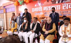 कपिल देव का चुनावी रंग जमा गए अमित शाह कपिल देव का चुनावी रंग जमा गए अमित शाह