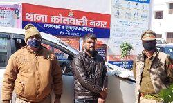 इनोवा कार में ले जा रहे सुअरों सहित दबोचा आरोपी