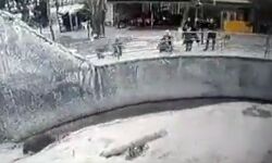 मां ने भालू के आगे बच्ची को दिया धक्का- वीडियो हुई वायरल मां ने भालू के आगे बच्ची को दिया धक्का- वीडियो हुई वायरल