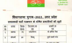 VIP सीटों के घोषित किए उम्मीदवार- डिप्टी CM के सामने पल्लवी VIP सीटों के घोषित किए उम्मीदवार- डिप्टी CM के सामने पल्लवी