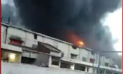 बिस्किट फैक्ट्री में लगी आग मचा हाहाकारआग बुझाने को करने पड़े यह यत्न बिस्किट फैक्ट्री में लगी आग मचा हाहाकारआग बुझाने को करने पड़े यह यत्न