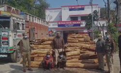 यहां पुष्पा का नहीं कानून का चलता है राज खैर की लकड़ी के साथ 2 अरेस्ट यहां पुष्पा का नहीं कानून का चलता है राज खैर की लकड़ी के साथ 2 अरेस्ट