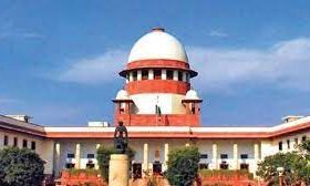 हाथी को वापस भेजने के लिये हाईकोर्ट में की गई याचिका दायर