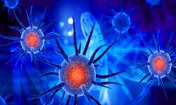 देश में एक दिन में कोरोना से इतने लोगो की मौत देश में एक दिन में कोरोना से इतने लोगो की मौत