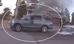 पुलिस ने दिखाई दिलेरी- जलती हुई बंद कार में सलामत निकाला कुत्ता