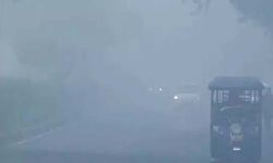 मतदान पर सुबह दिखा कोहरे का असर मतदान पर सुबह दिखा कोहरे का असर