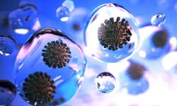 देश में कोरोना की रफ्तार पड़ी धीमी- स्वस्थ होने वालों की संख्या अधिक देश में कोरोना की रफ्तार पड़ी धीमी- स्वस्थ होने वालों की संख्या अधिक