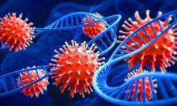 कोरोना की रफ़्तार पड़ी धीमी- देश में कोरोना से इतने लोगो की मौत कोरोना की रफ़्तार पड़ी धीमी- देश में कोरोना से इतने लोगो की मौत