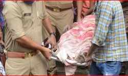 भाजपा नेता का शव झुलसी हालत में मिलने से मचा हड़कंप भाजपा नेता का शव झुलसी हालत में मिलने से मचा हड़कंप