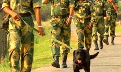 NFLT के सात उग्रवादियों ने किया आत्मसमर्पण NFLT के सात उग्रवादियों ने किया आत्मसमर्पण