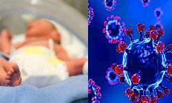 डेढ़ महीने के बच्चे ने कोरोना से जीती जंग डेढ़ महीने के बच्चे ने कोरोना से जीती जंग