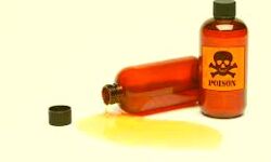 गृहक्लेश के चलते पति ने खाया जहर गृहक्लेश के चलते पति ने खाया जहर