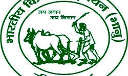 BKU ने फूंका योगी सरकार का पुतला