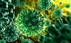 देश में घटकर करीब ढाई लाख रह गयी कोरोना के सक्रिय मामलों की संख्या देश में घटकर करीब ढाई लाख रह गयी कोरोना के सक्रिय मामलों की संख्या