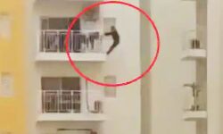 12वीं मंजिल से लटककर एक्सरसाइज कर रहा शख्स- देखें वीडियो 12वीं मंजिल से लटककर एक्सरसाइज कर रहा शख्स- देखें वीडियो