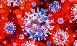 देश में कोरोना दैनिक संक्रमण दर इतने फीसदी रही देश में कोरोना दैनिक संक्रमण दर इतने फीसदी रही