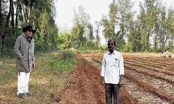 फार्महाउस में आलू-प्याज लगवा रहे हैं धर्मेन्द्र