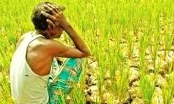 जमीन कब्जे के मामले में आत्महत्या के लिए अनुमति मांगने पहुंचा पीड़ित जमीन कब्जे के मामले में आत्महत्या के लिए अनुमति मांगने पहुंचा पीड़ित