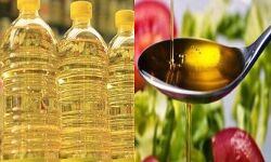रूस के हमले से मूंगफली, सूरजमुखी और पाम ऑयल में उबाल रूस के हमले से मूंगफली, सूरजमुखी और पाम ऑयल में उबाल